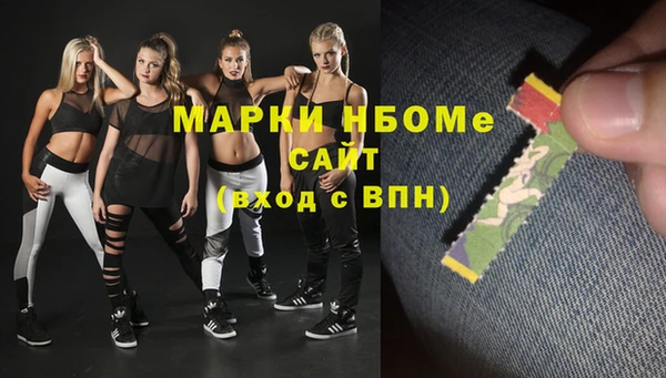 индика Заволжье